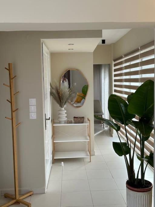Filoxenia City Apartment Città di Zante Esterno foto