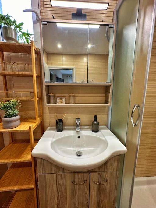Filoxenia City Apartment Città di Zante Esterno foto